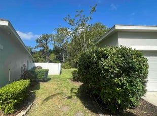 Shirley B.'s Bush Trimming service result