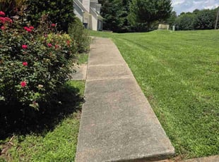 Tammy B.'s grass maintenance service result