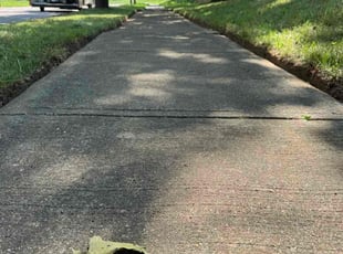 Susan W.'s Other service result