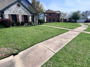 Hector C.'s turf maintenance service result