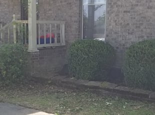 Shaun D.'s Bush Trimming service result
