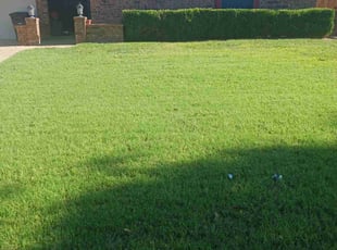 Cornelius W.'s Front yard only service result