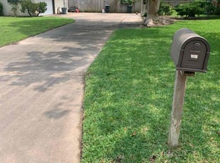 Deborah D.'s lawn maintenance service result