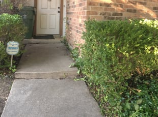 Stephanie S.'s Bush Trimming service result