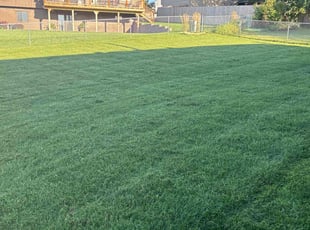 James M.'s turf care service result