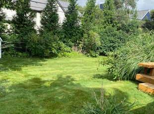 Christine K.'s lawn care service result