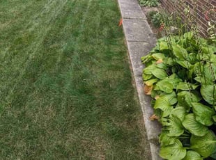 Mary R.'s grass cutting service result