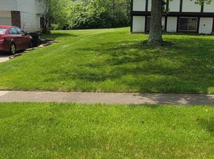 William V.'s turf care service result