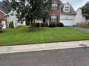 London P.'s turf care service result