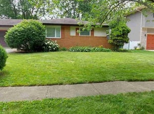 Ensa M.'s lawn care services service result