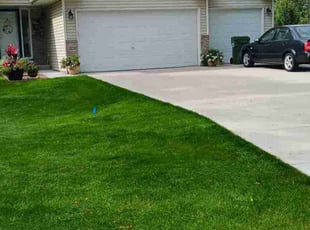 Jeff N.'s turf maintenance service result