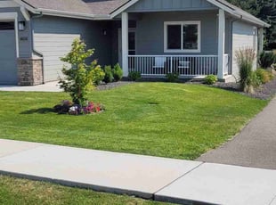 Dana K.'s lawn care services service result