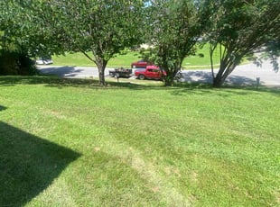 Robert C.'s grass cutting service result