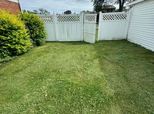 Chad P.'s grass maintenance service result