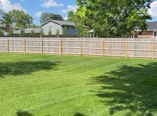 Adam W.'s turf care service result