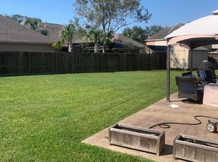 Tou L.'s turf care service result