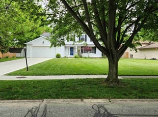 Brittany A.'s grass maintenance service result
