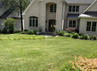 David J.'s lawn maintenance service result