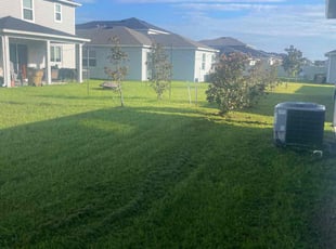 Eileen J.'s turf care service result
