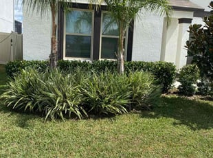 Rebekah M.'s Bush Trimming service result