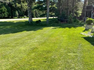 Sherri L.'s lawn care service result