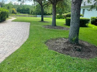 Cate N.'s turf maintenance service result