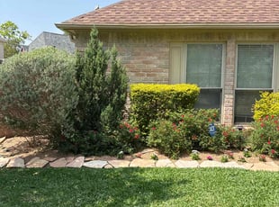 OMAR K.'s Bush Trimming service result