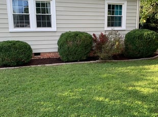 James P.'s Bush Trimming service result