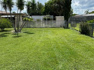 Wesley M.'s grass cutting service result