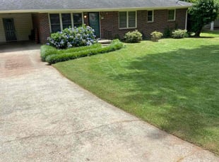 Jo S.'s lawn maintenance service result