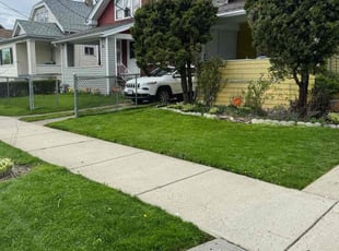 Matthew V.'s grass cutting service result