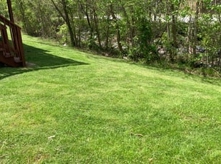 Charles C.'s grass maintenance service result