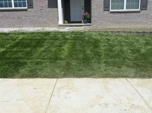 Charles M.'s lawn service service result