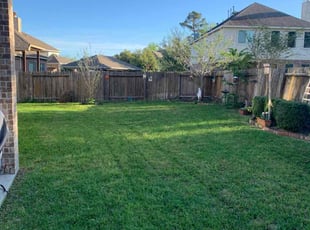 Herman M.'s lawn service service result