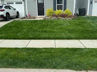 Cheryl M.'s turf care service result