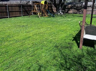 Dustin L.'s lawn care service result