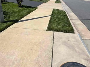 Victoria M.'s landscaping services service result