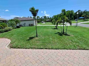 Jillian A.'s lawn maintenance service result