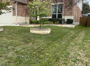 Ginger M.'s lawn care service result