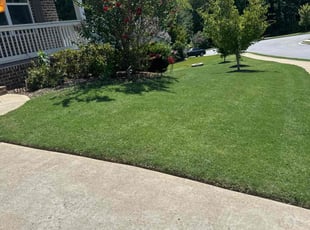 Sophia W.'s grass cutting service result