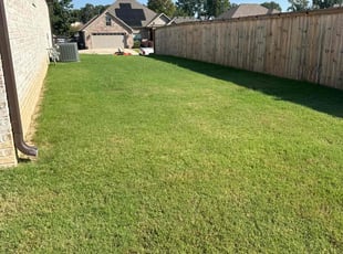 Rachelle H.'s grass cutting service result