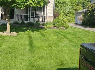 Donna P.'s lawn service service result