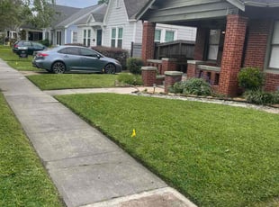 Greg P.'s lawn maintenance service result