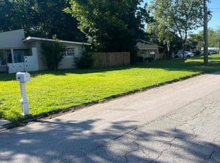 Sophia R.'s grass maintenance service result