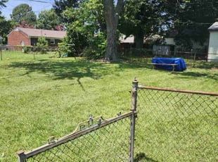 Tina S.'s lawn care service result