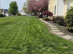 Kim M.'s yard service service result
