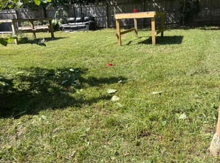 Mildred H.'s lawn care service result