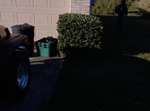 Stefanie T.'s Bush Trimming service result