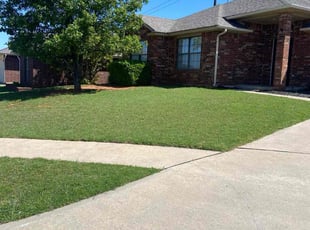 Alesha B.'s yard work service result