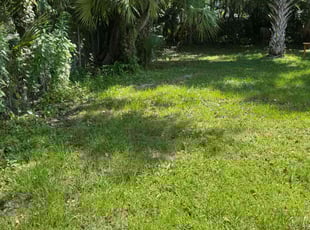 Brooke B.'s grass cutting service result